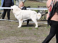 dsc_3058.jpg