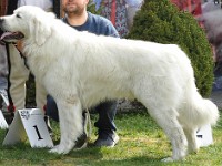 dsc_3063.jpg