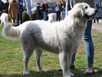 dsc_3068.jpg