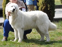 dsc_3075.jpg