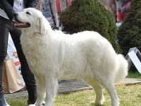 dsc_3077.jpg