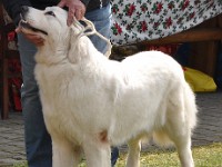 dsc_3078.jpg