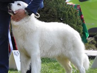 dsc_3080.jpg