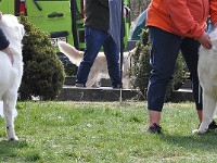 dsc_3083.jpg
