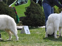 dsc_3087.jpg