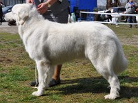 dsc_3146.jpg