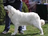 dsc_3244.jpg