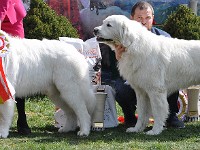 dsc_3367.jpg