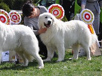 dsc_3368.jpg