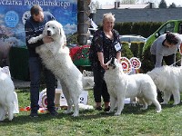 dsc_3369.jpg