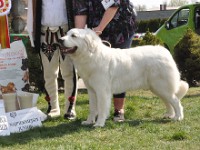 dsc_3373.jpg