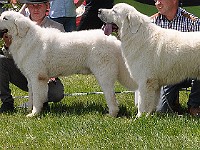 dsc_3459.jpg