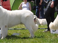 dsc_3464.jpg