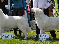 dsc_3471.jpg