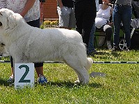 dsc_3473.jpg