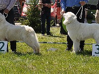dsc_3477.jpg