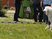 dsc_3481.jpg