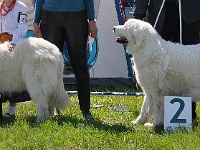 dsc_3487.jpg