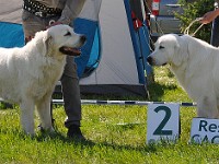 dsc_3488.jpg