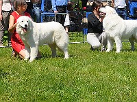 dsc_3493.jpg