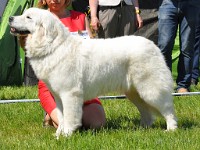 dsc_3495.jpg