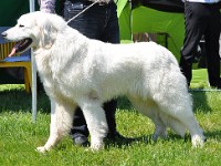 dsc_3499.jpg