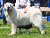 dsc_3502.jpg