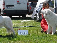 dsc_3504.jpg