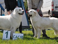 dsc_3507.jpg