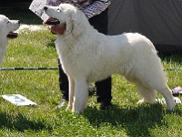 dsc_3508.jpg