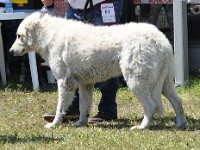 dsc_3549.jpg