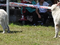 dsc_3552.jpg