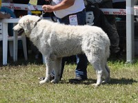 dsc_3553.jpg
