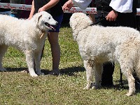 dsc_3557.jpg