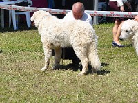 dsc_3559.jpg