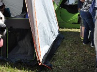 dsc_3564.jpg