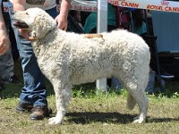 dsc_3568.jpg