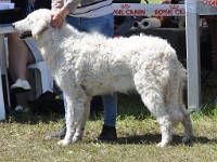 dsc_3569.jpg
