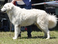 dsc_3575.jpg