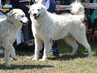dsc_3580.jpg