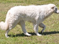 dsc_3581.jpg