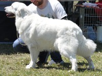 dsc_3593.jpg