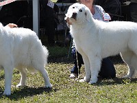 dsc_3596.jpg