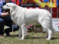 dsc_3599.jpg