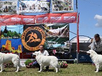 dsc_3602.jpg