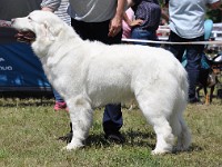 dsc_3603.jpg