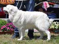 dsc_3604.jpg