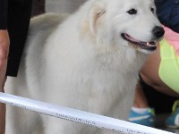 dsc_3642.jpg