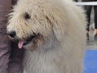 dsc_3647.jpg