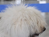 dsc_3649.jpg